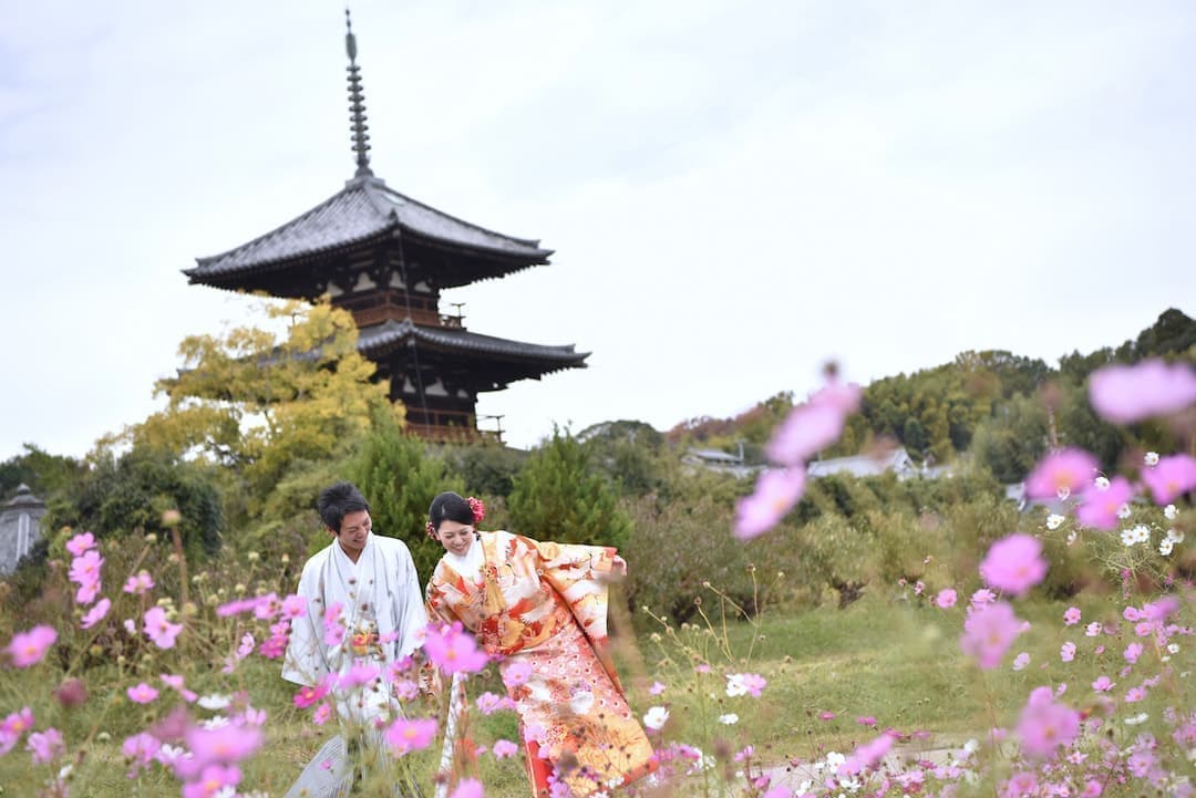 コスモスや菜の花、ひまわりが一杯の前撮りの新郎新婦の写真