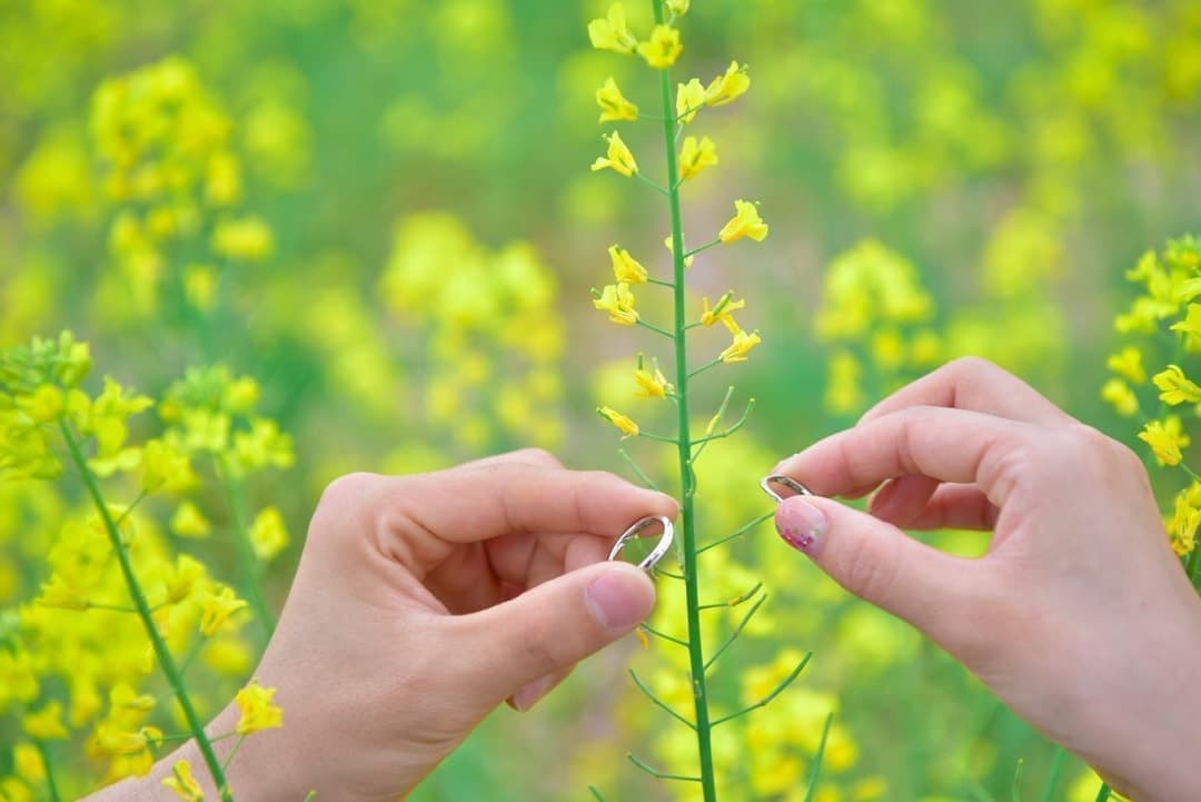 花が一杯の前撮り写真