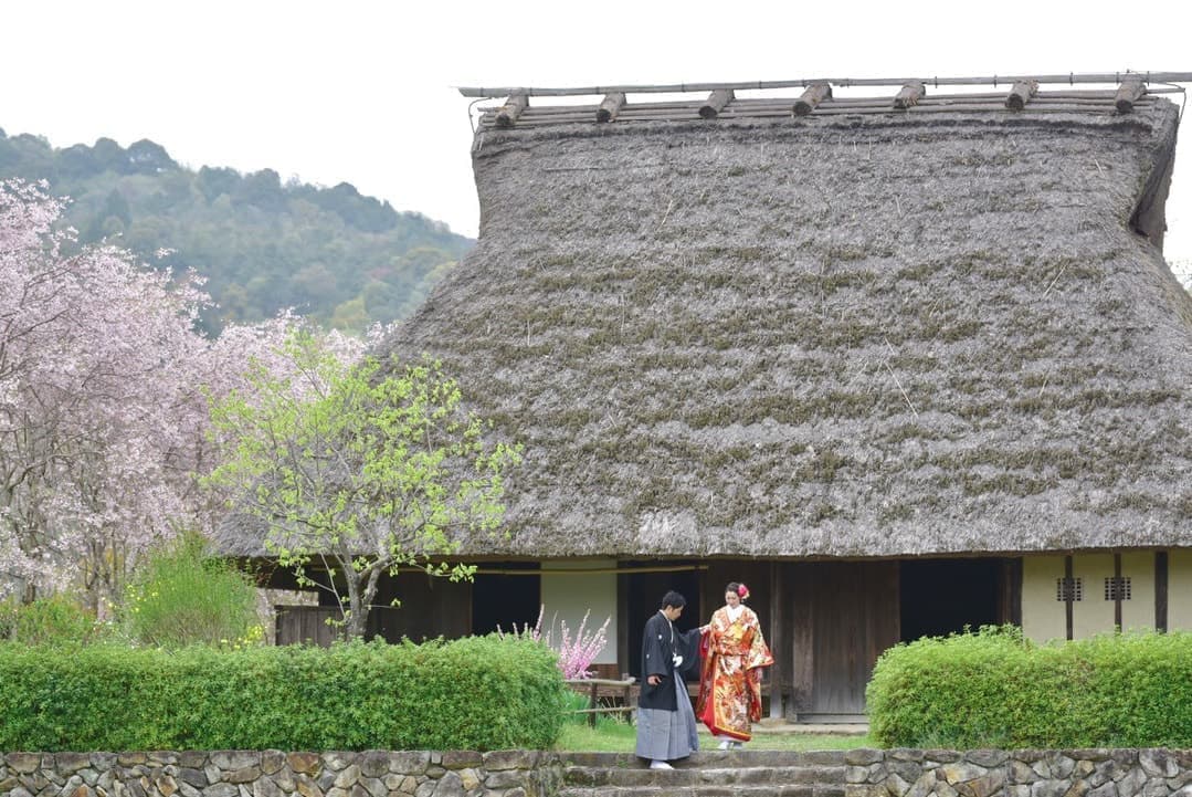 コスモスや菜の花、ひまわりが一杯の前撮りの新郎新婦の写真