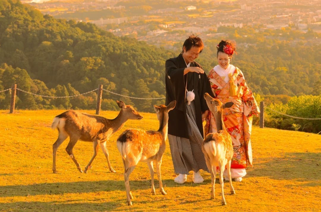 夕日で結婚記念の前撮り奈良の写真