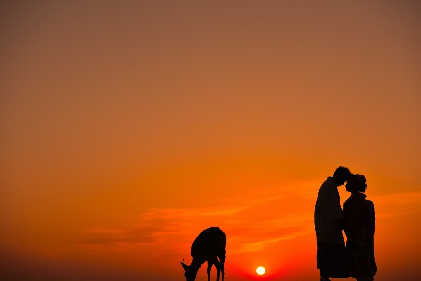 夕日での奈良フォトウェディングの写真