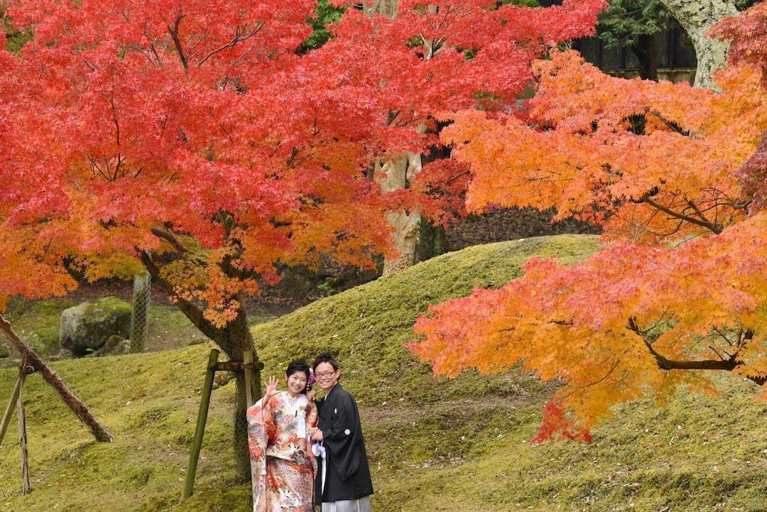 紅葉で前撮りの写真