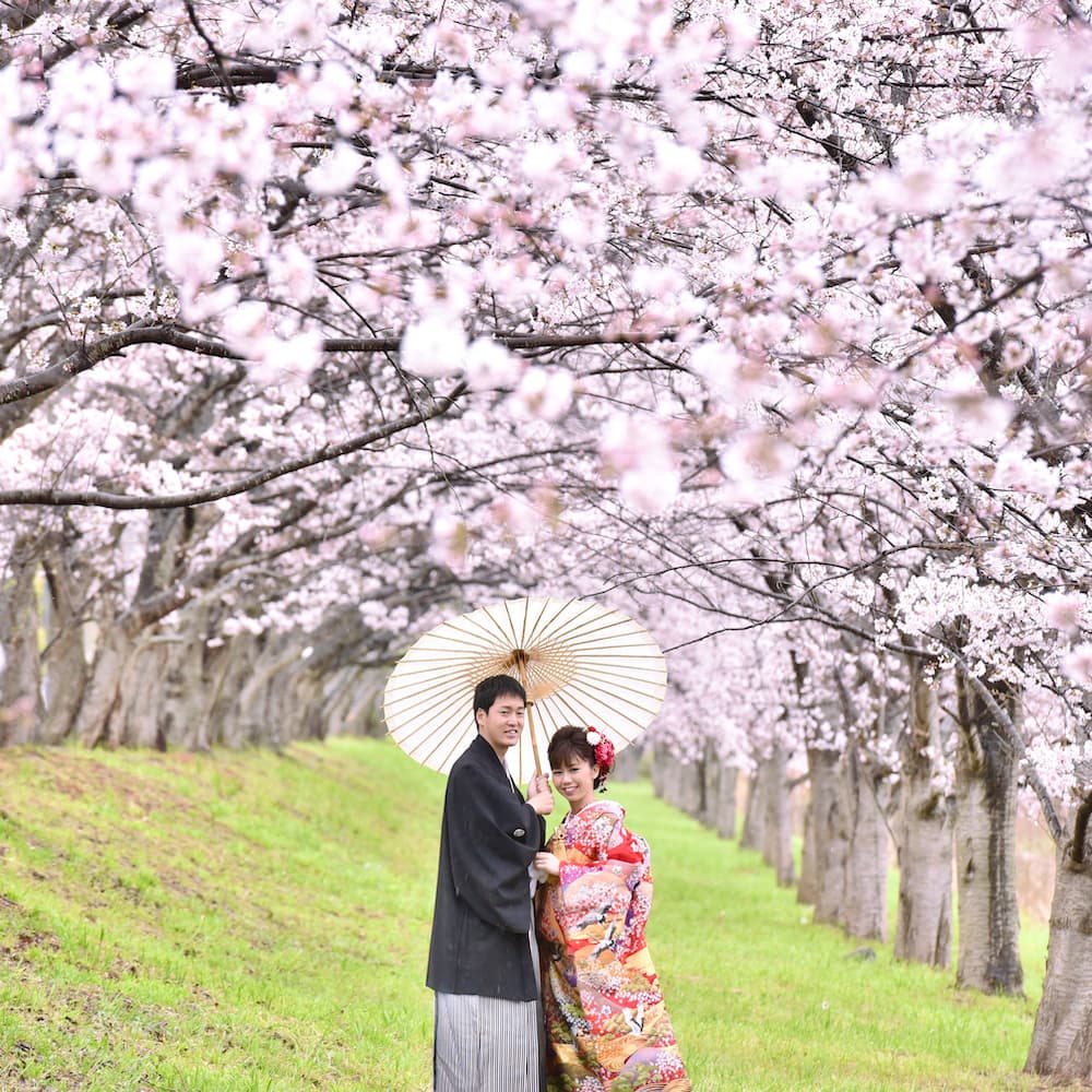 白無垢を着た花嫁様と紋付羽織袴を着た新郎様が神社で結婚式を挙げている
