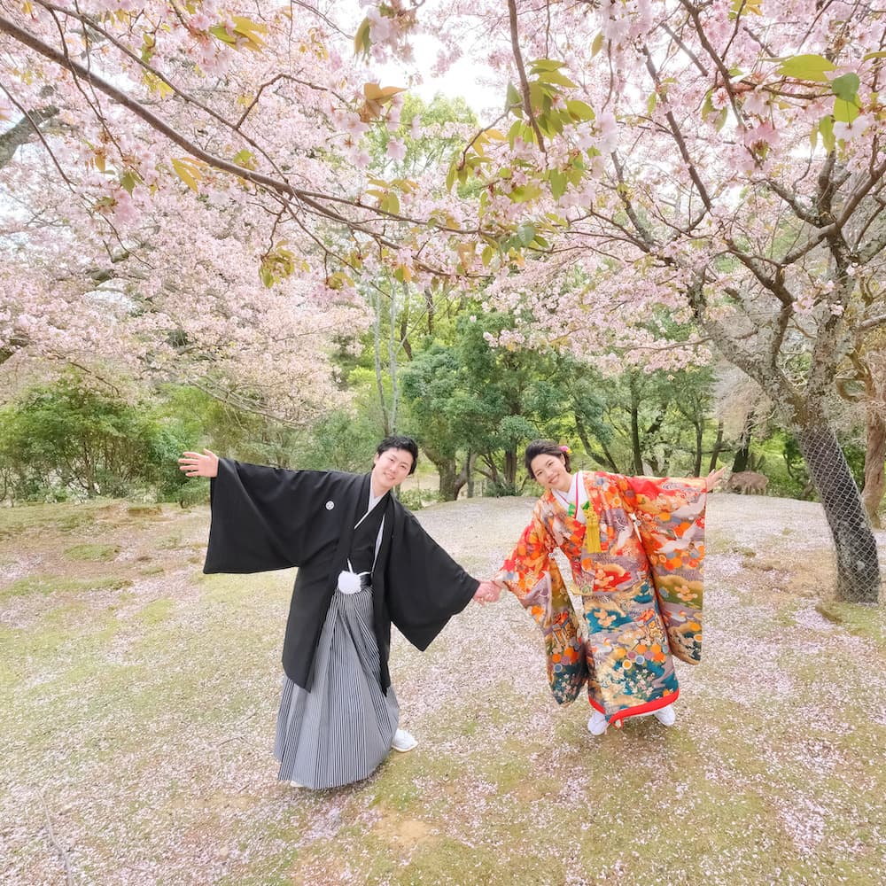 色打掛を着た花嫁様と紋付羽織袴を着た新郎様が神社で結婚式を挙げている