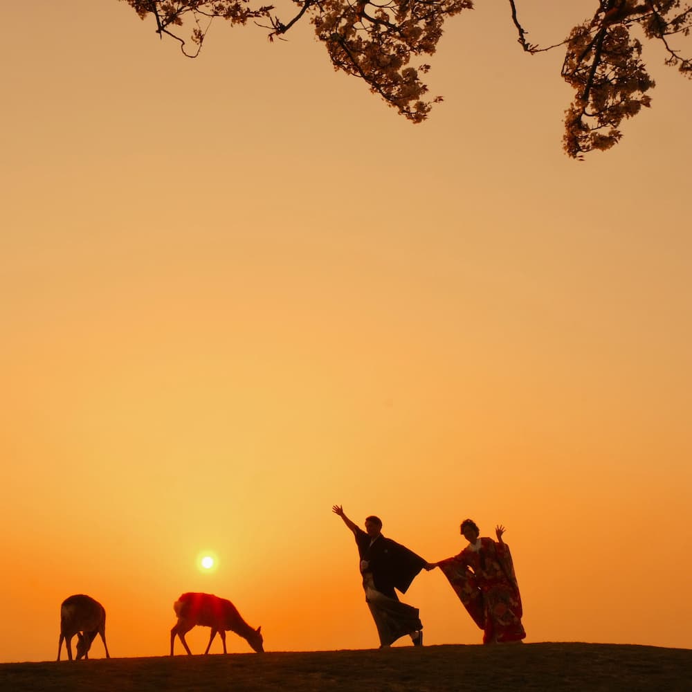 白無垢を着た花嫁様と紋付羽織袴を着た新郎様が神社で結婚式を挙げている