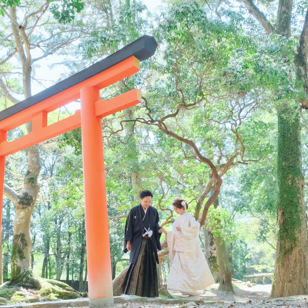 白無垢を着た花嫁様と紋付羽織袴を着た新郎様が神社で結婚式を挙げている