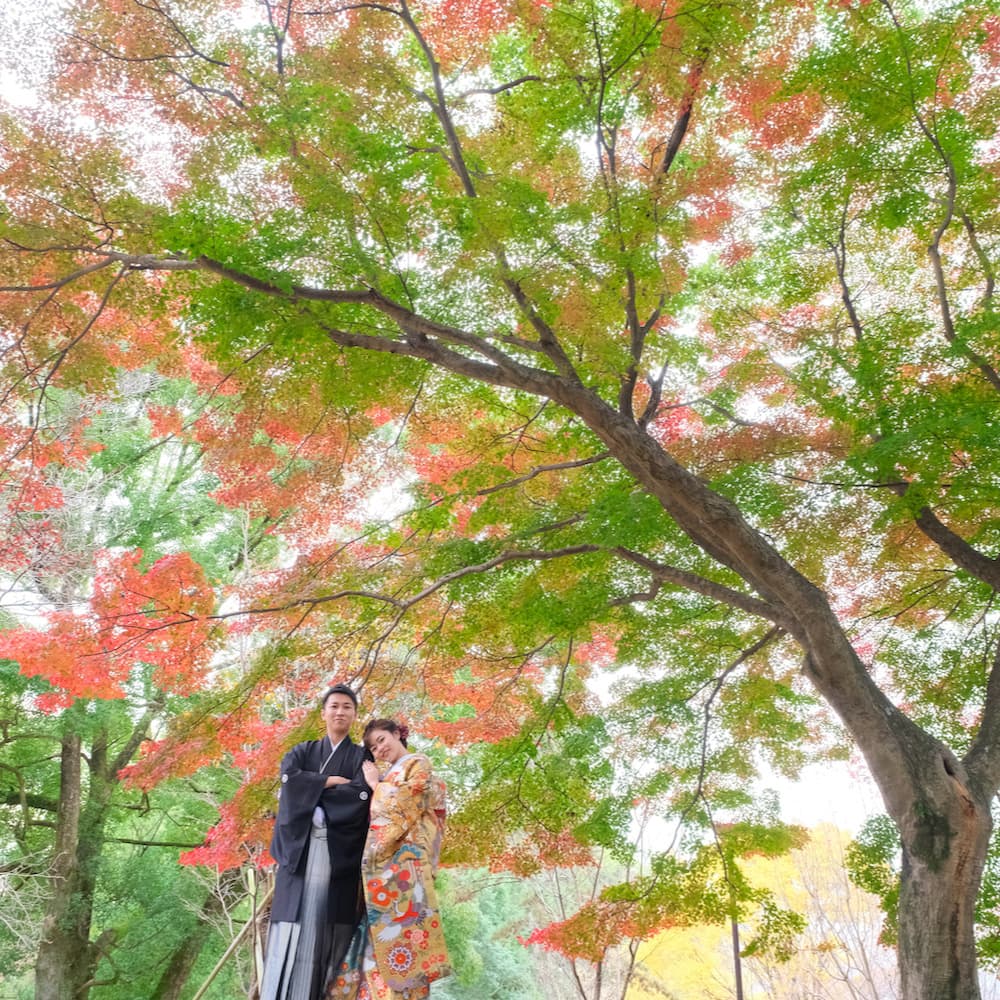 色打掛を着た花嫁様と紋付羽織袴を着た新郎様が神社で結婚式を挙げている