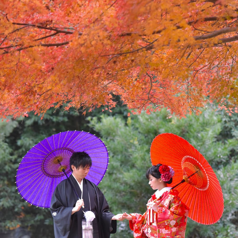 白無垢を着た花嫁様と紋付羽織袴を着た新郎様が神社で結婚式を挙げている