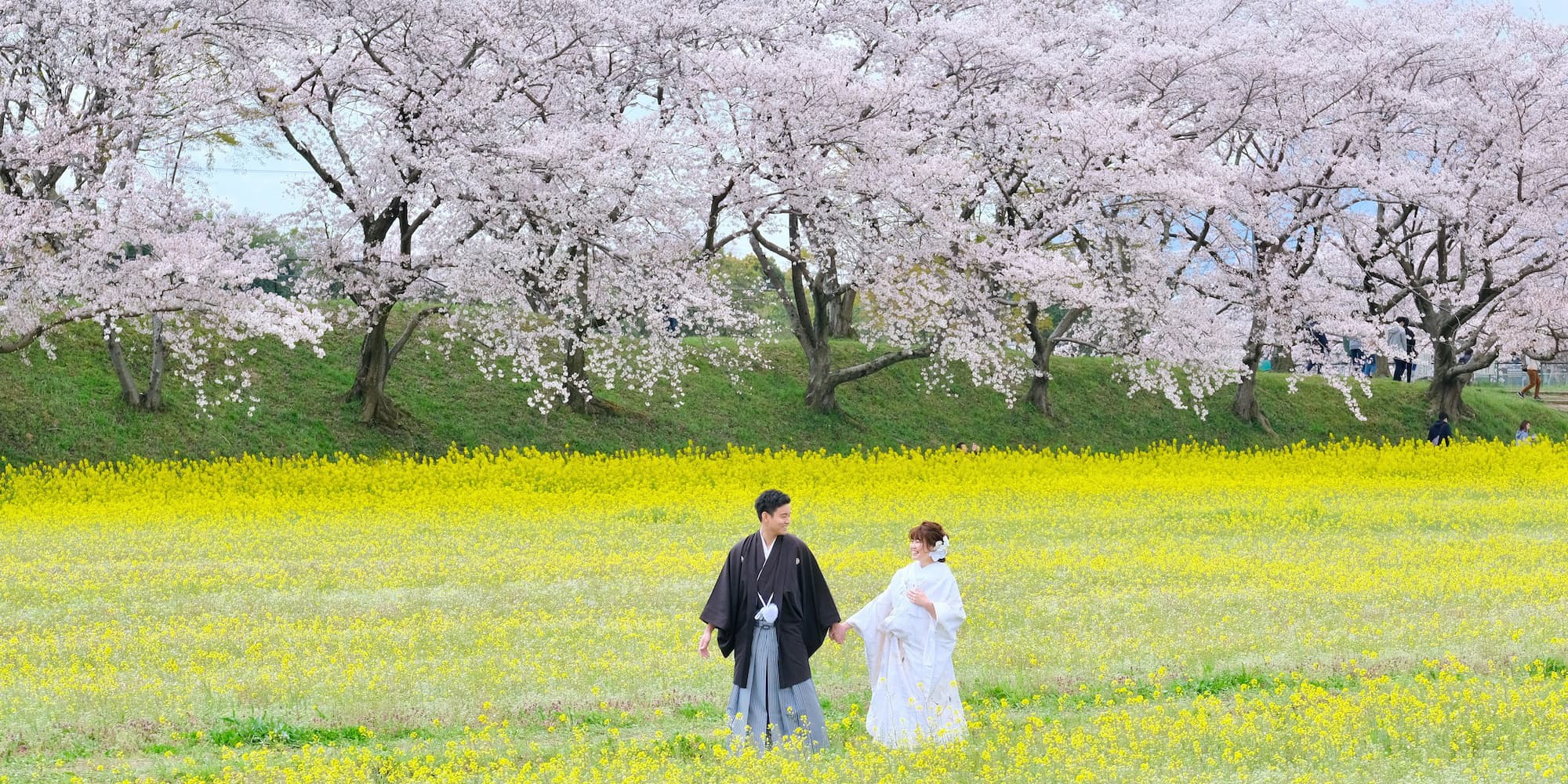 白無垢を着た花嫁様と紋付羽織袴を着た新郎様が神社で結婚式を挙げている