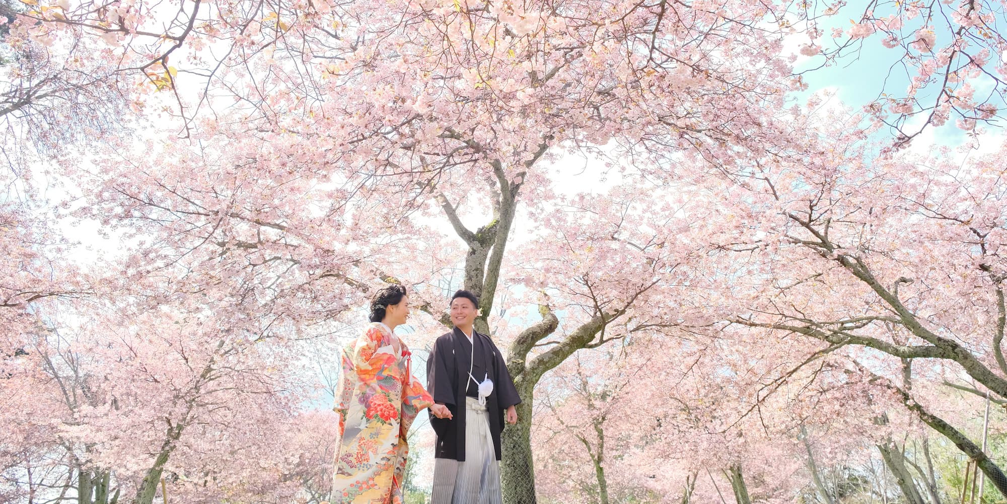 白無垢を着た花嫁様と紋付羽織袴を着た新郎様が番傘をさして手を繋いでいる