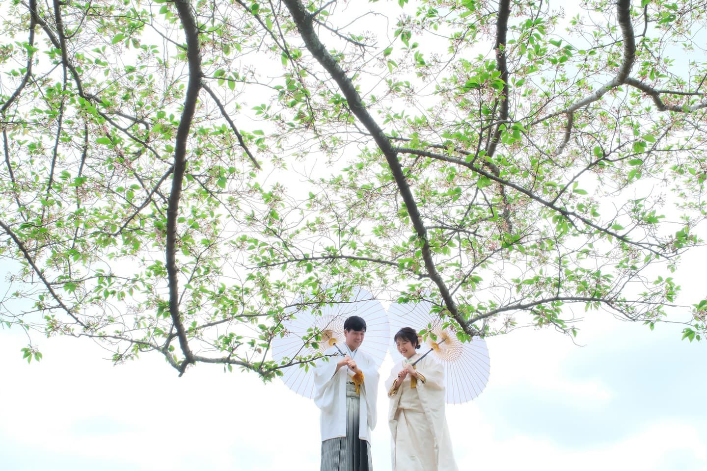 奈良の新緑で和装前撮りフォトウェディングの写真