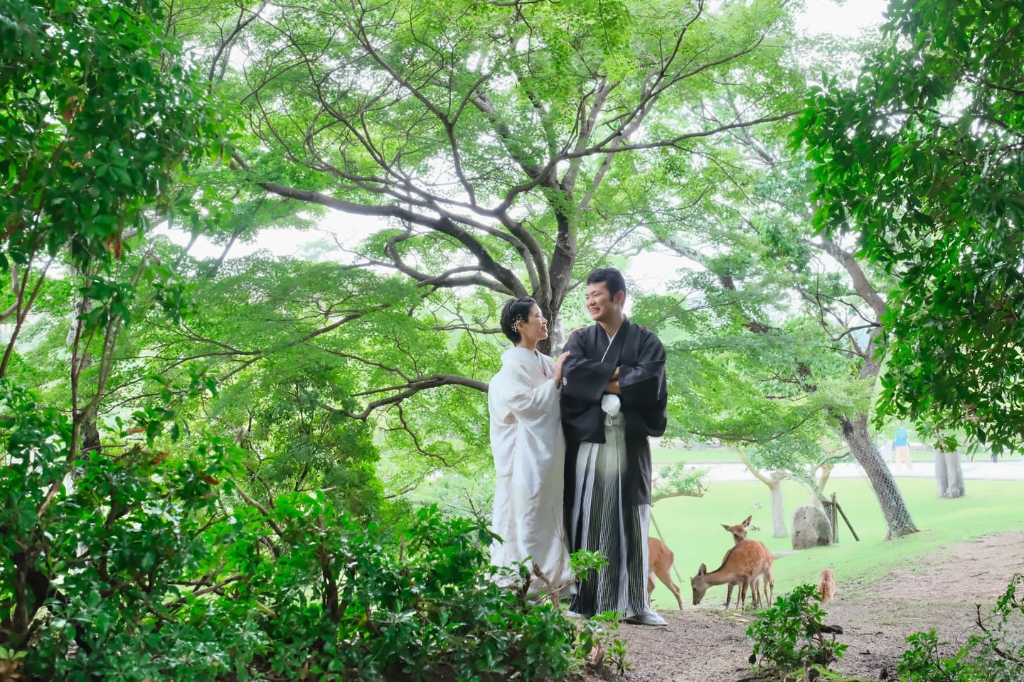 奈良の新緑で和装前撮りフォトウェディングの写真