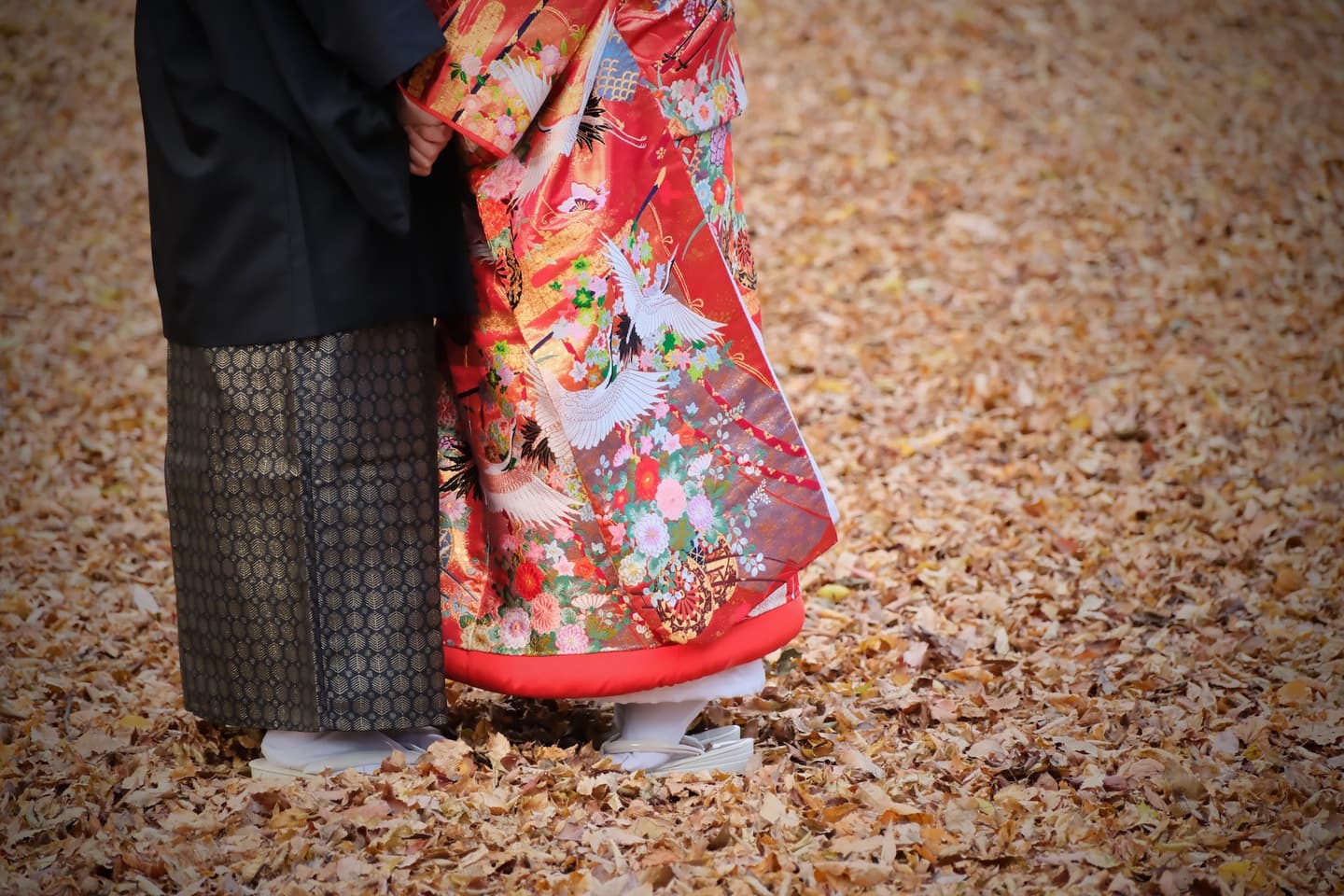  紅葉の奈良公園での前撮りフォトウエディング写真