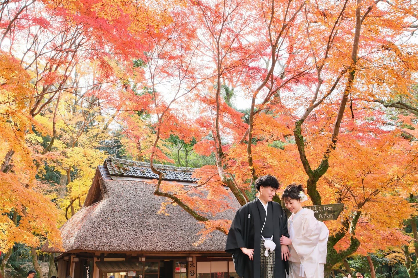  紅葉の奈良公園での前撮りフォトウエディング写真