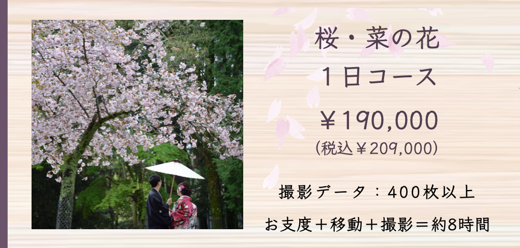 桜や菜の花でのフォトウェディング