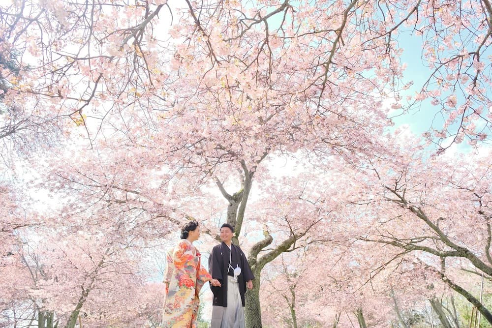 奈良の桜の前でフォトウェディングをしている新郎新婦