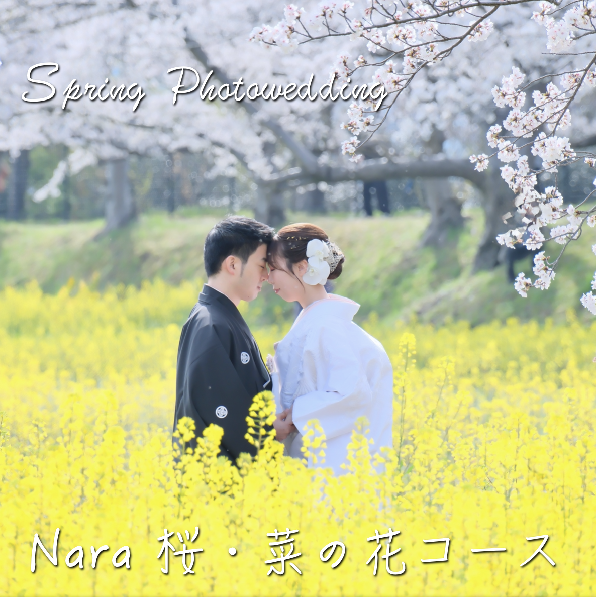 桜と菜の花の前でフォトウェディングをしている新郎新婦