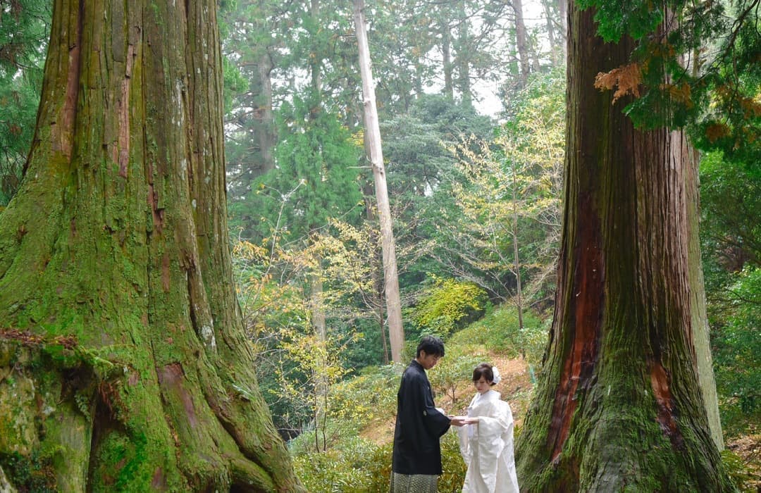 和装の結婚式前撮り写真