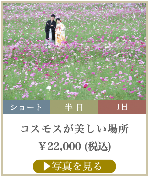コスモス