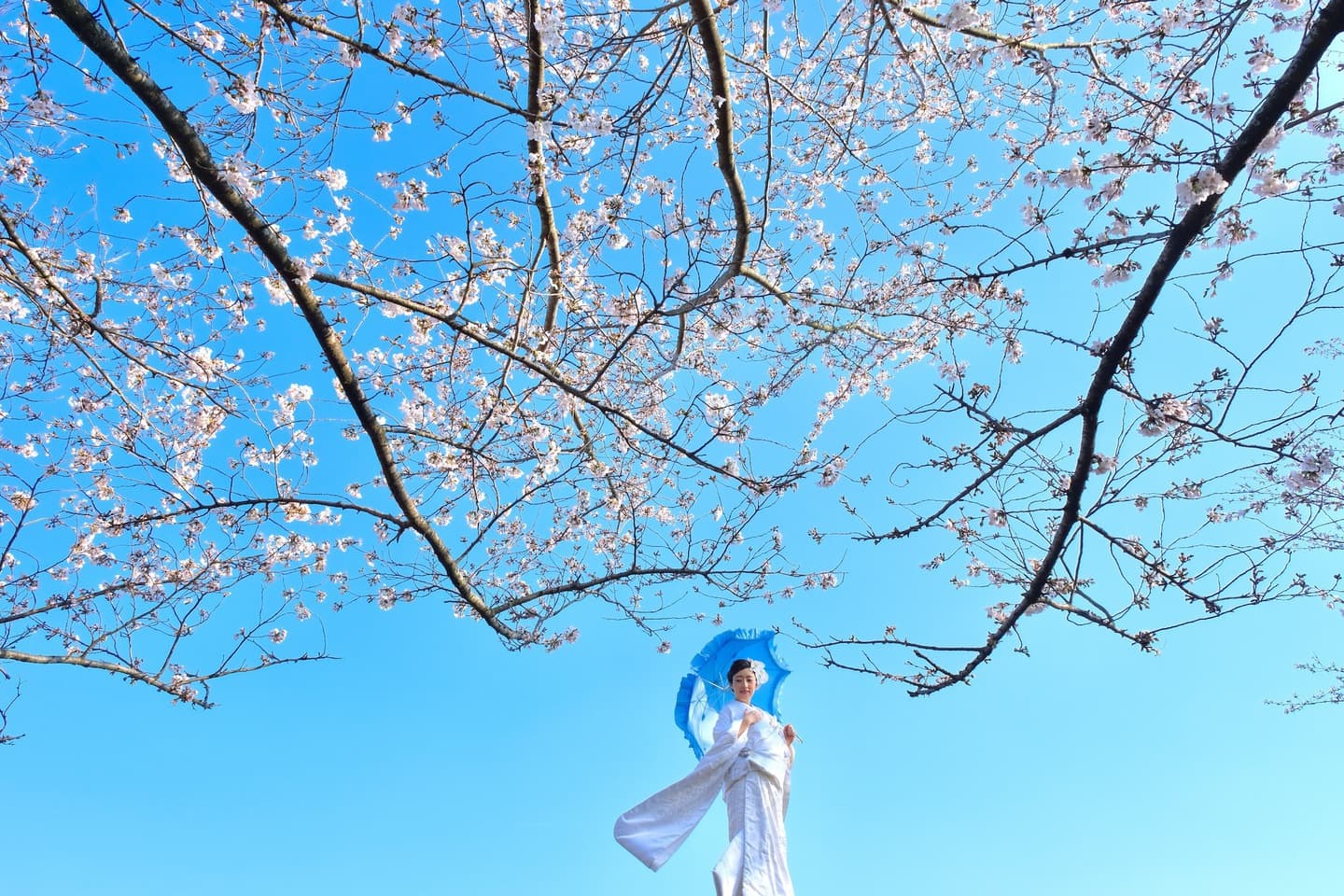 奈良のフォトウエディングの写真