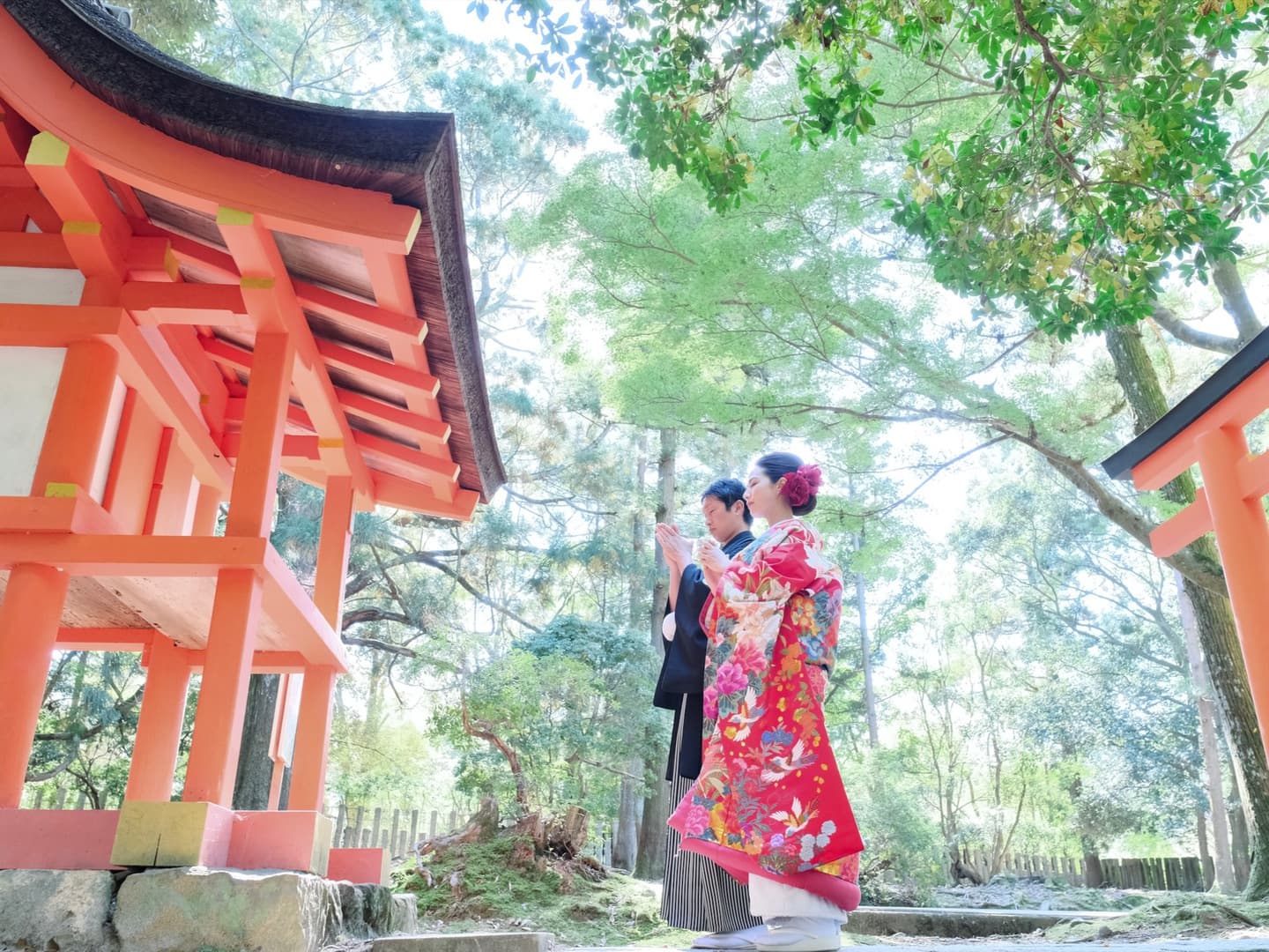 桜で和装フォトウエディング