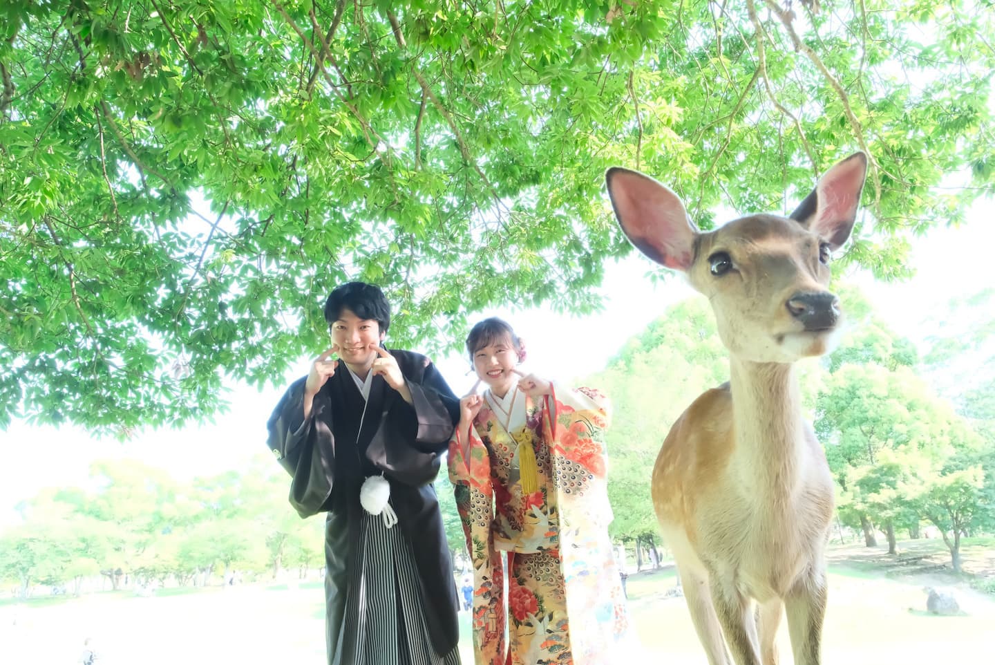 奈良で鹿と和装フォトウェディング
