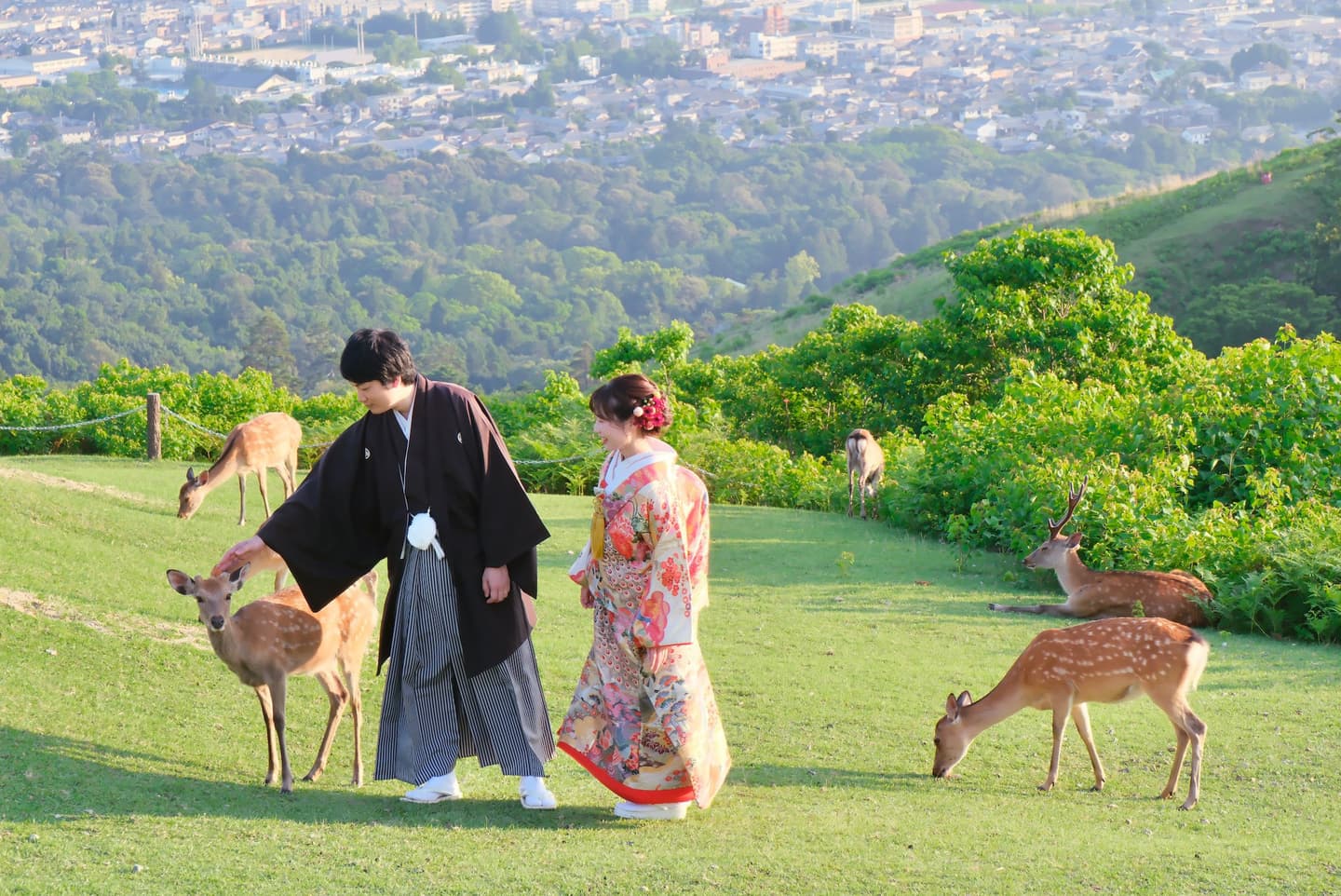 奈良で鹿と和装フォトウェディング