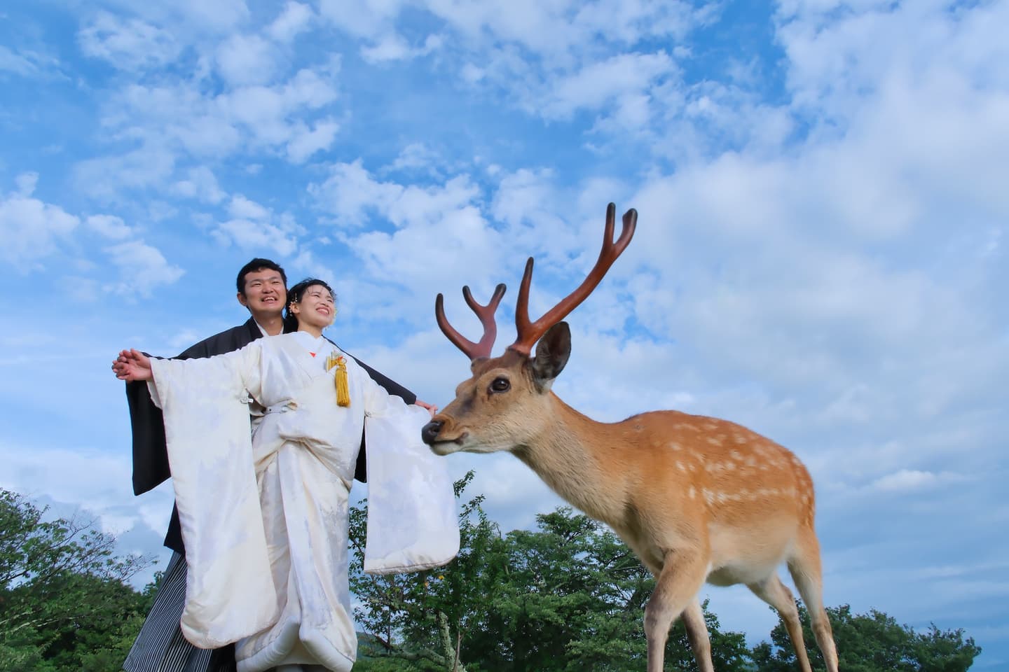 奈良で和装フォトウェディングの衣装