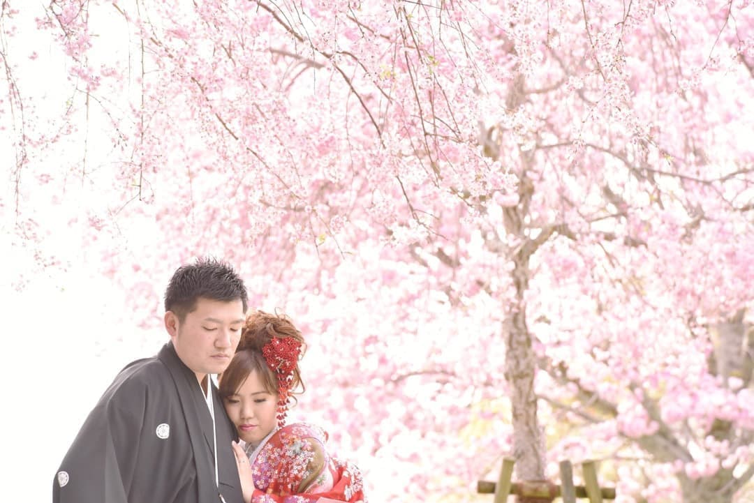 奈良の桜で和装前撮りフォトウェディングの写真