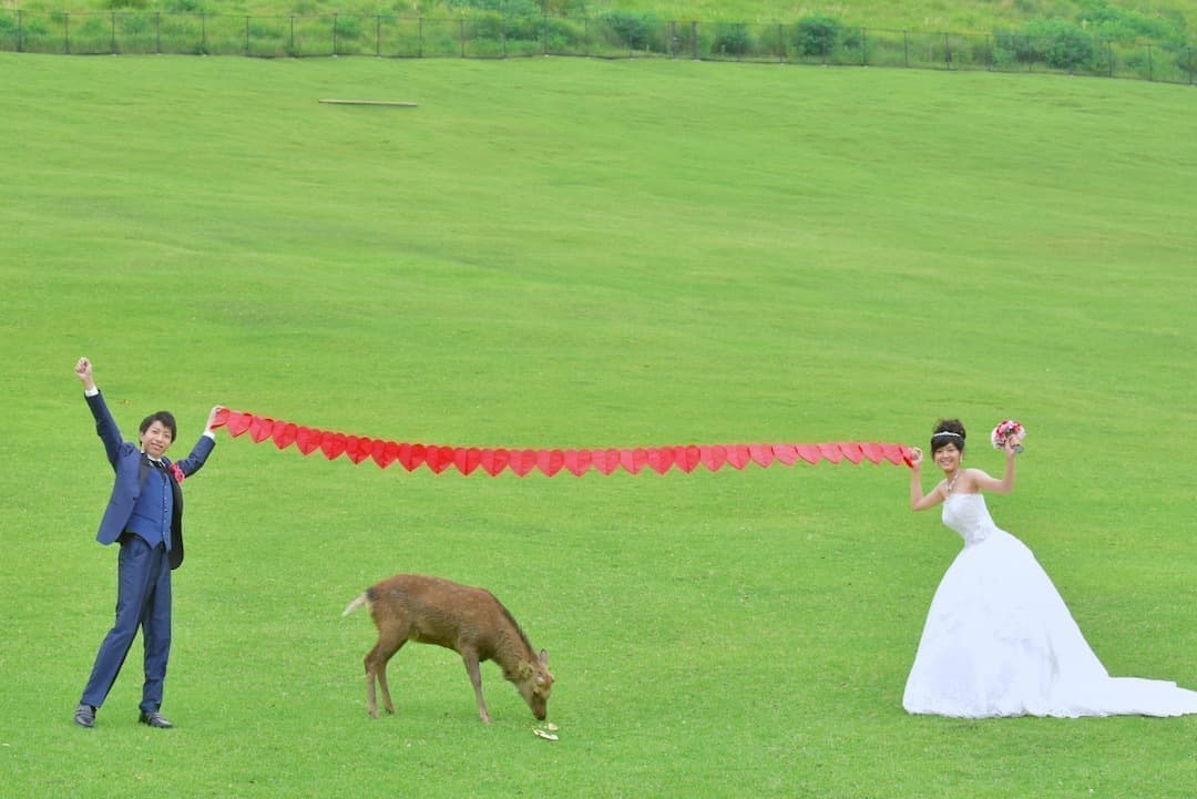 奈良でドレスの結婚写真