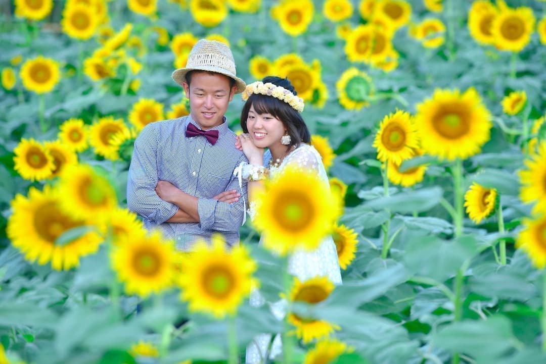 ひまわりとドレスの写真