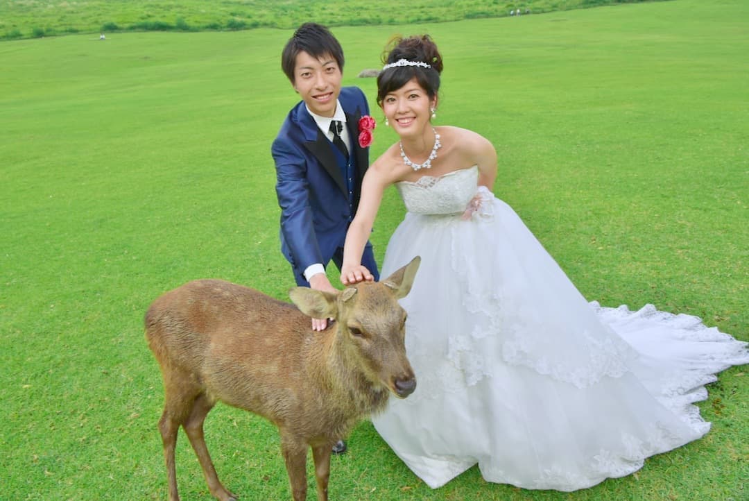 奈良でドレスの結婚写真