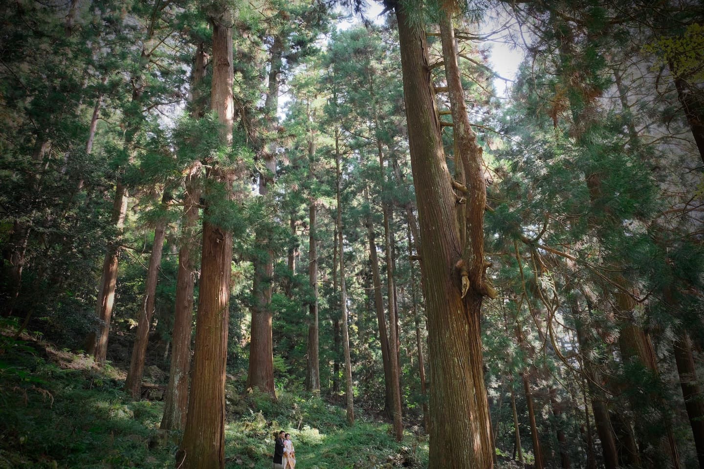 奈良の室生寺での前撮り和装フォトウェディング