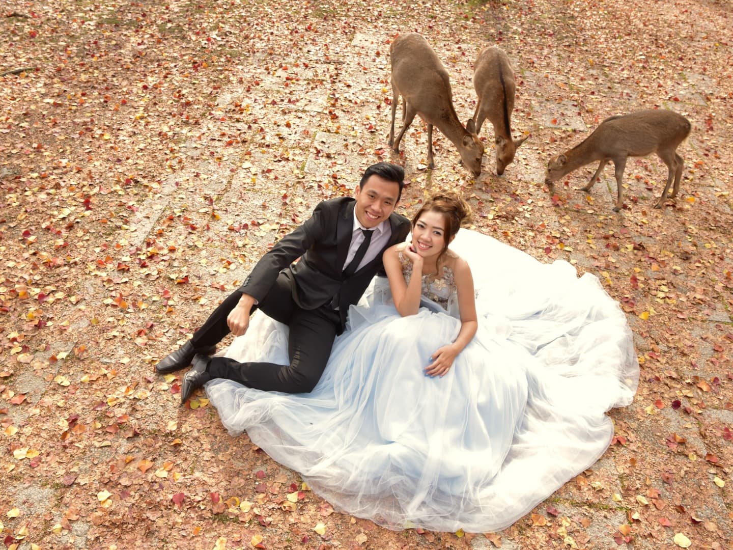 奈良のフォトウエディングの写真