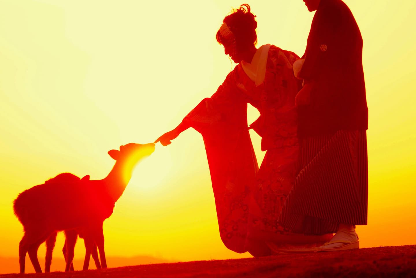 奈良で和装前撮りフォトウェディングの写真