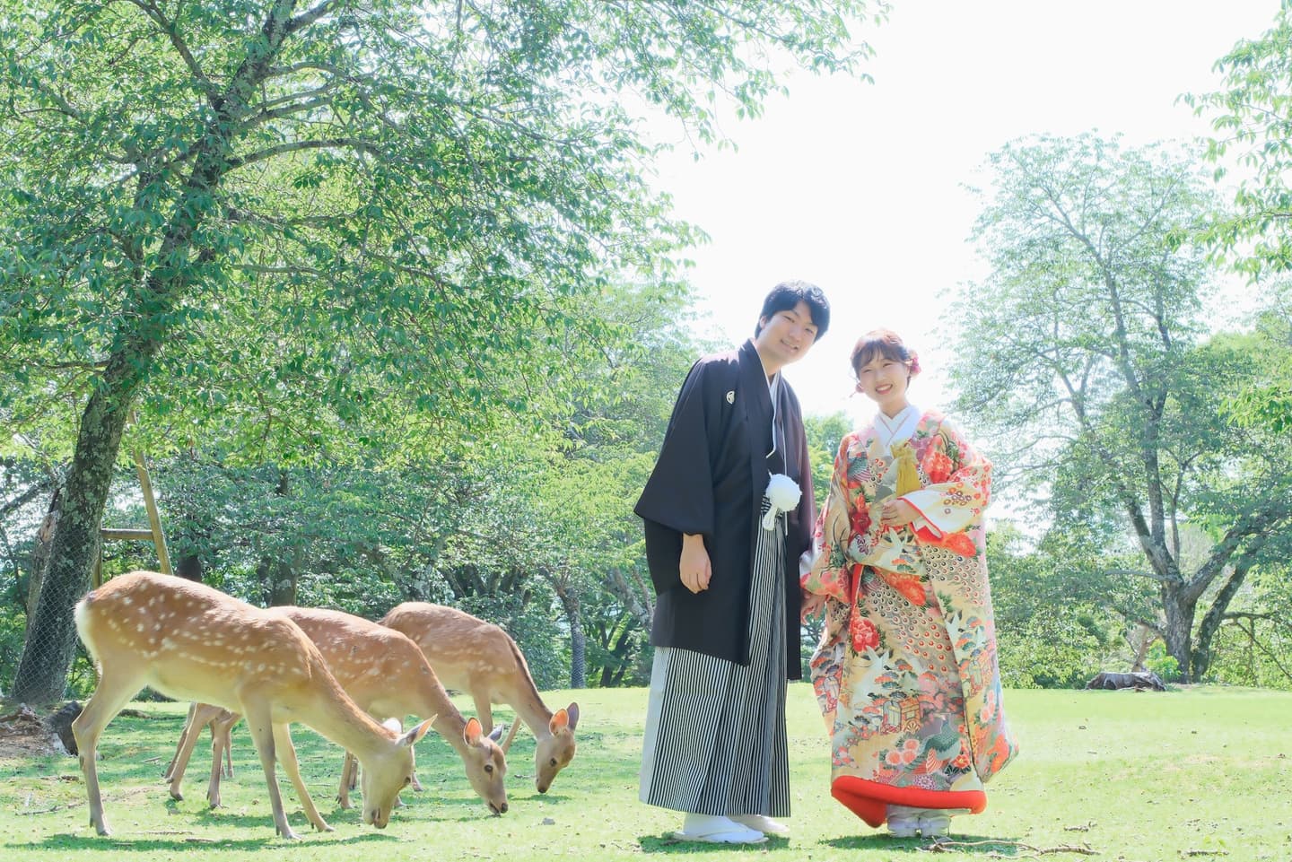 奈良で鹿と和装フォトウェディング