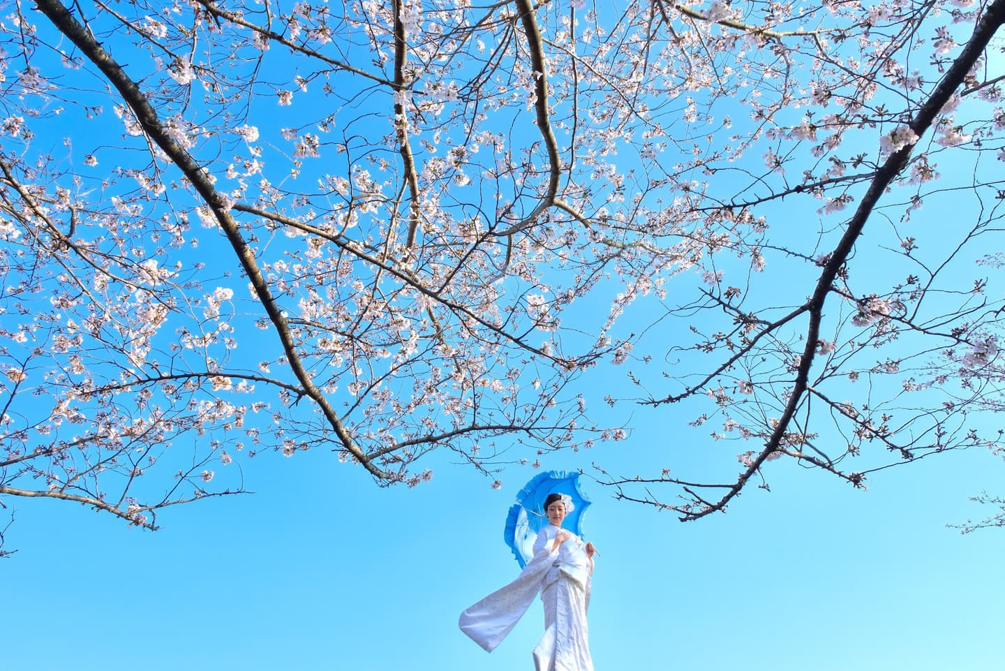 奈良で和装前撮りフォトウェディングの写真