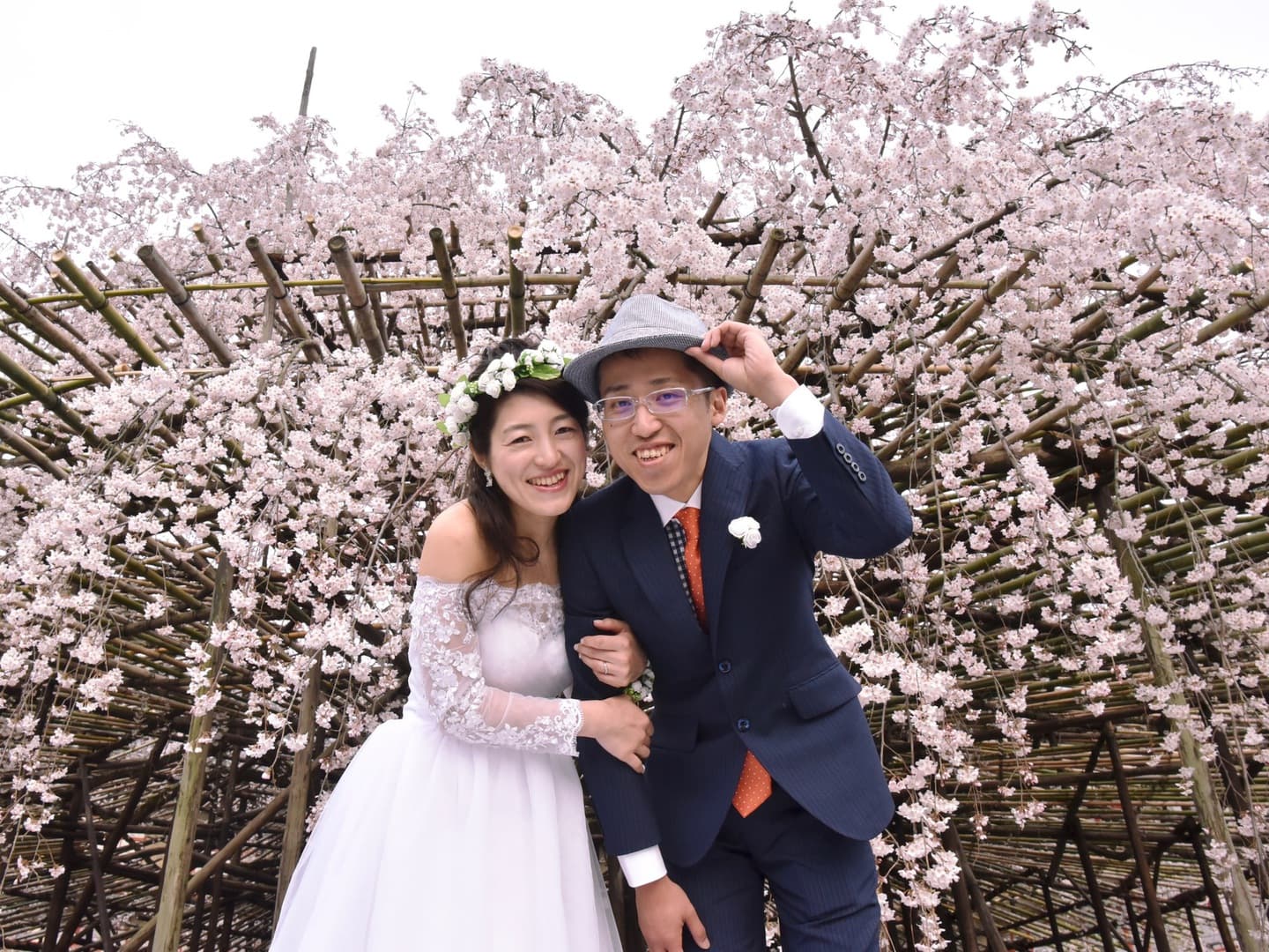 桜で和装フォトウエディングの写真