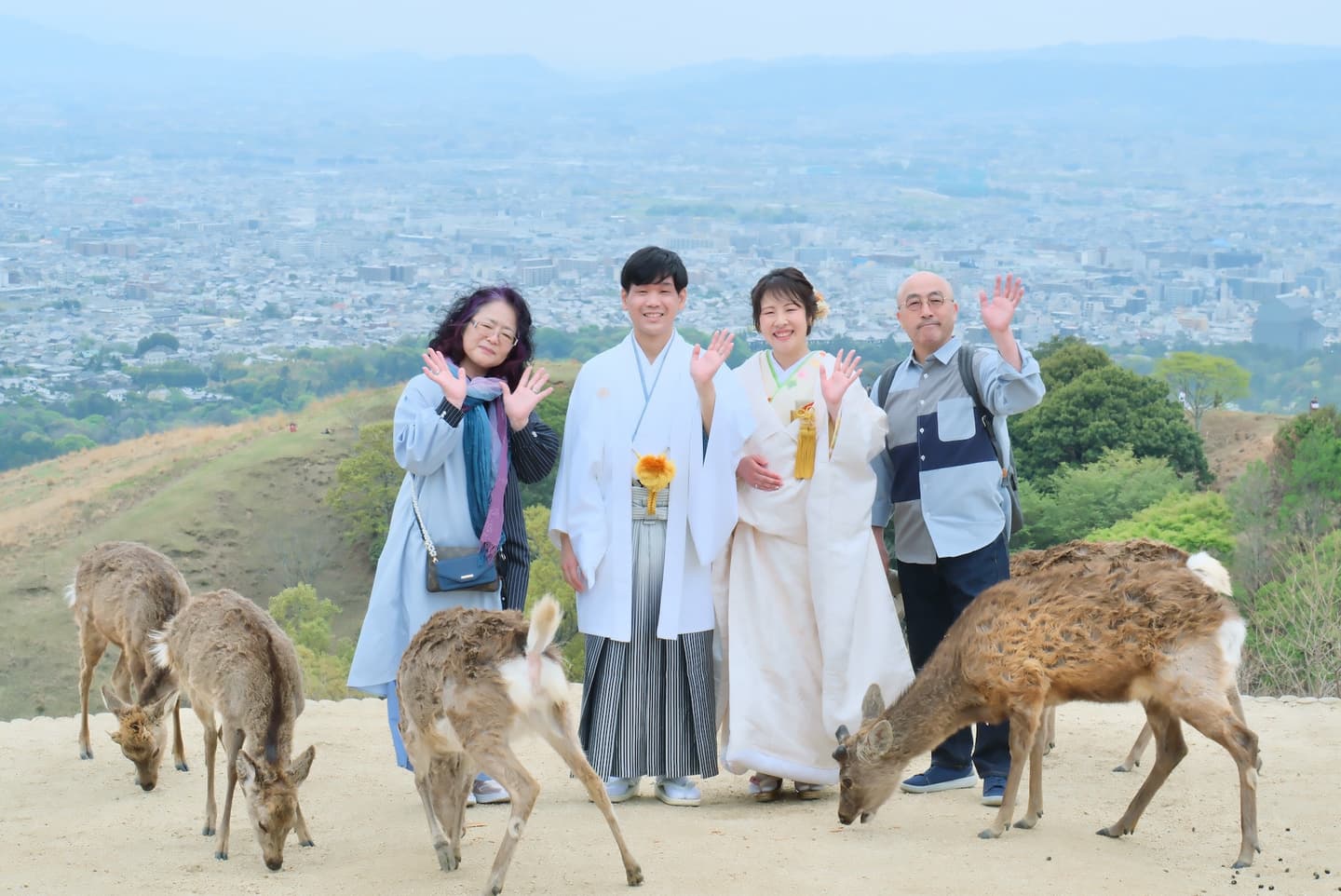 奈良で鹿と和装フォトウェディングの花嫁。