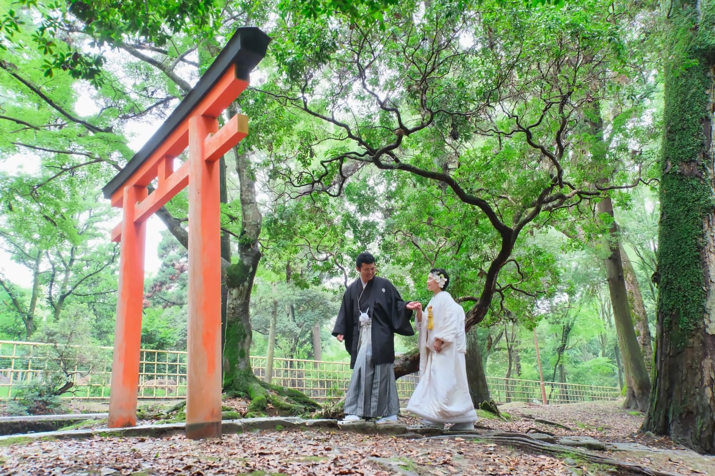奈良で和装フォトウェディングの衣装