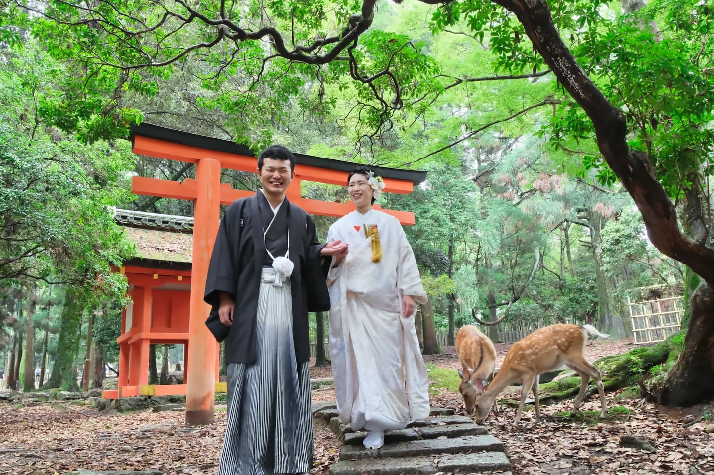 奈良で和装フォトウェディングの衣装