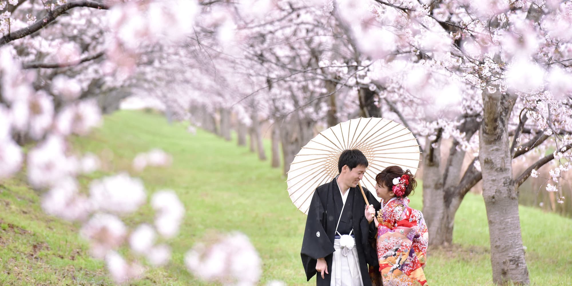 白無垢を着た花嫁様と紋付羽織袴を着た新郎様が神社で結婚式を挙げている