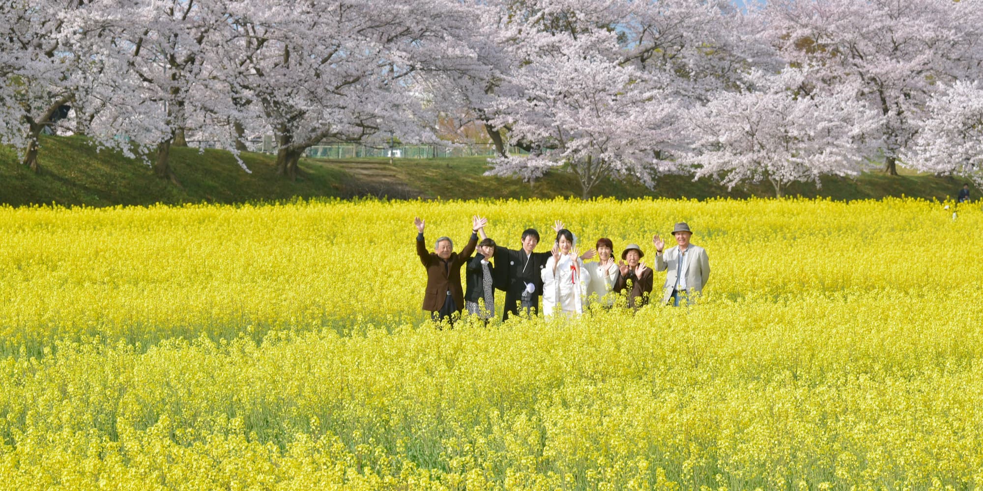 色打掛を着た花嫁様と紋付羽織袴を着た新郎様が神社で結婚式を挙げている