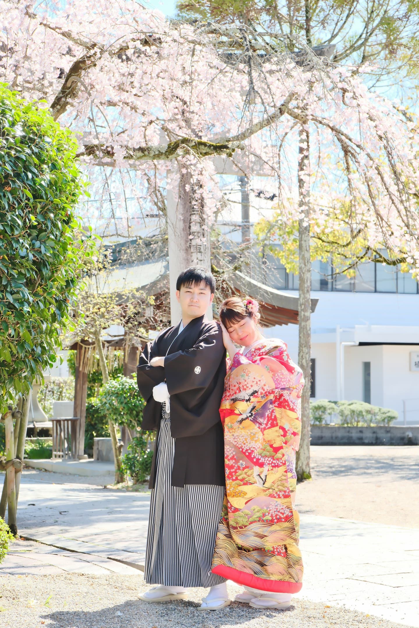 奈良の神社で和装前撮りフォトウェディングをしている新郎新婦