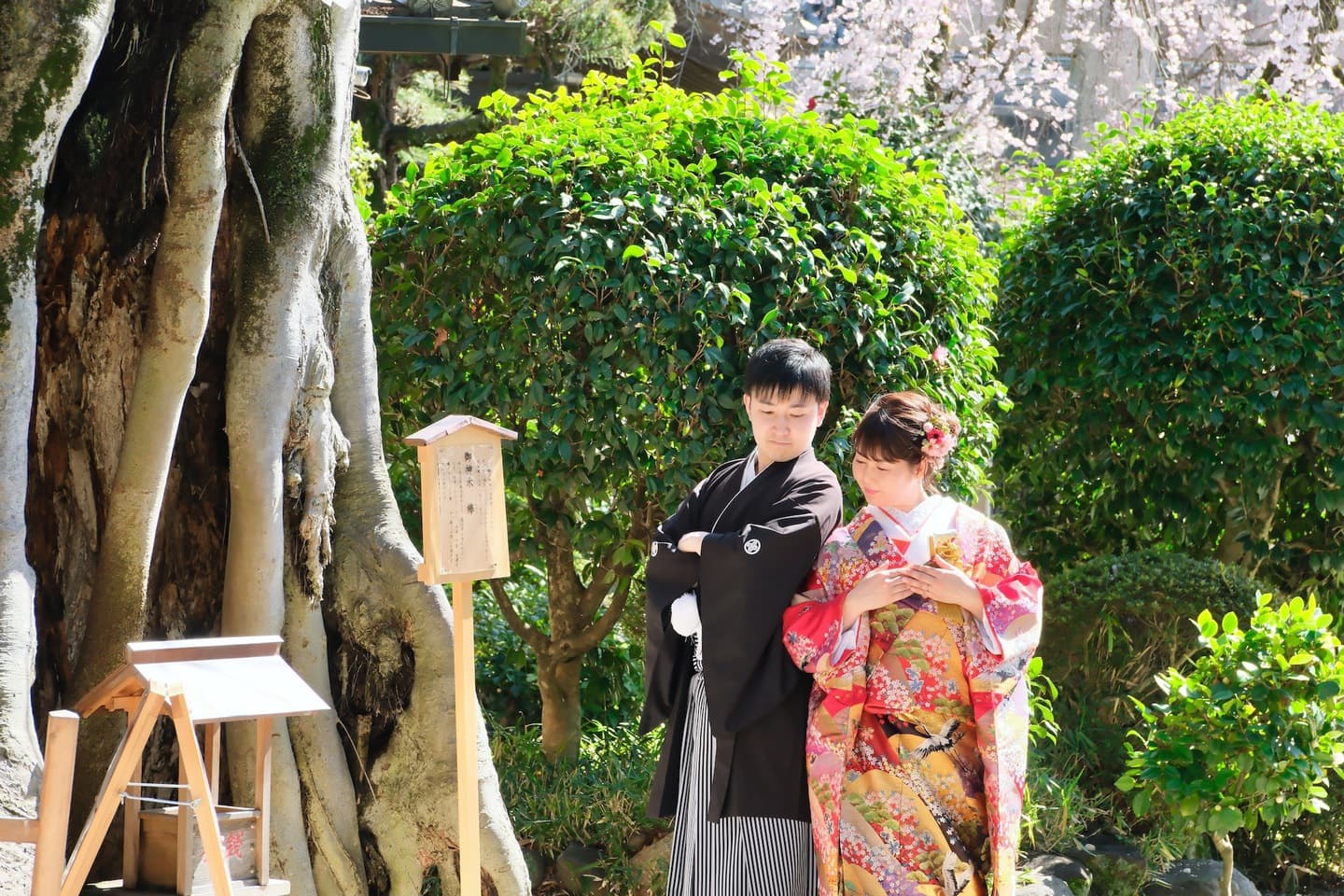 奈良の神社で和装前撮りフォトウェディングをしている新郎新婦