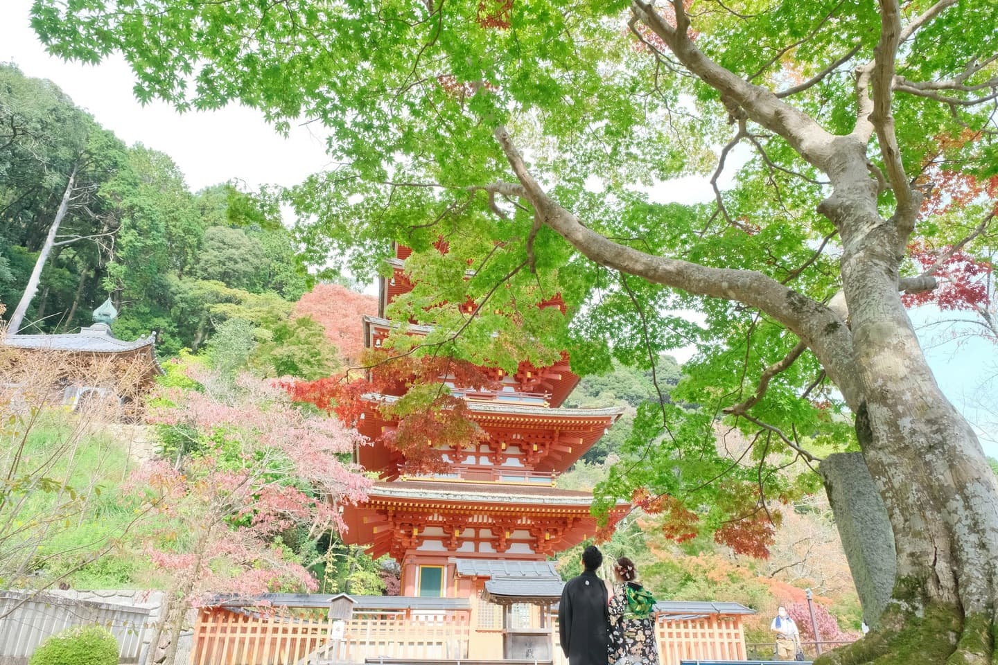 長谷寺で前撮り和装着物フォトウエディングをしている新郎新婦の写真