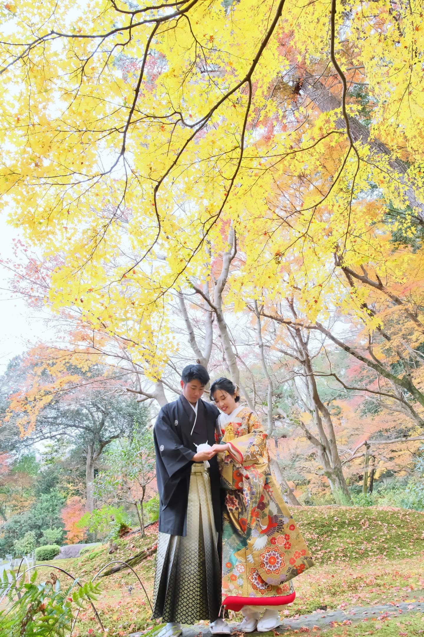  紅葉の奈良公園での前撮りフォトウエディング写真