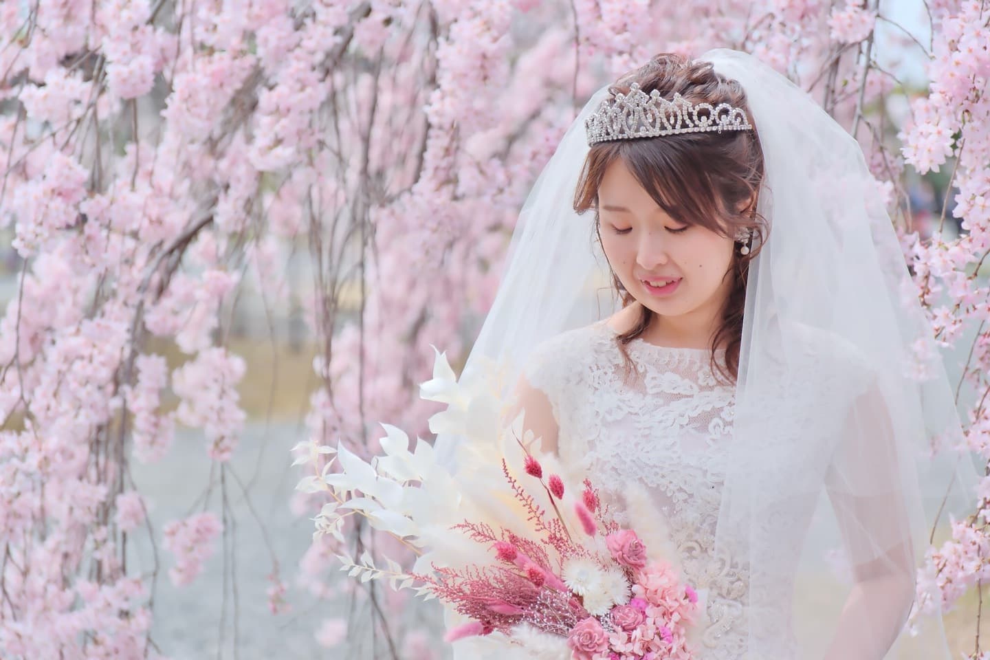 桜でフォトウエディングの花嫁