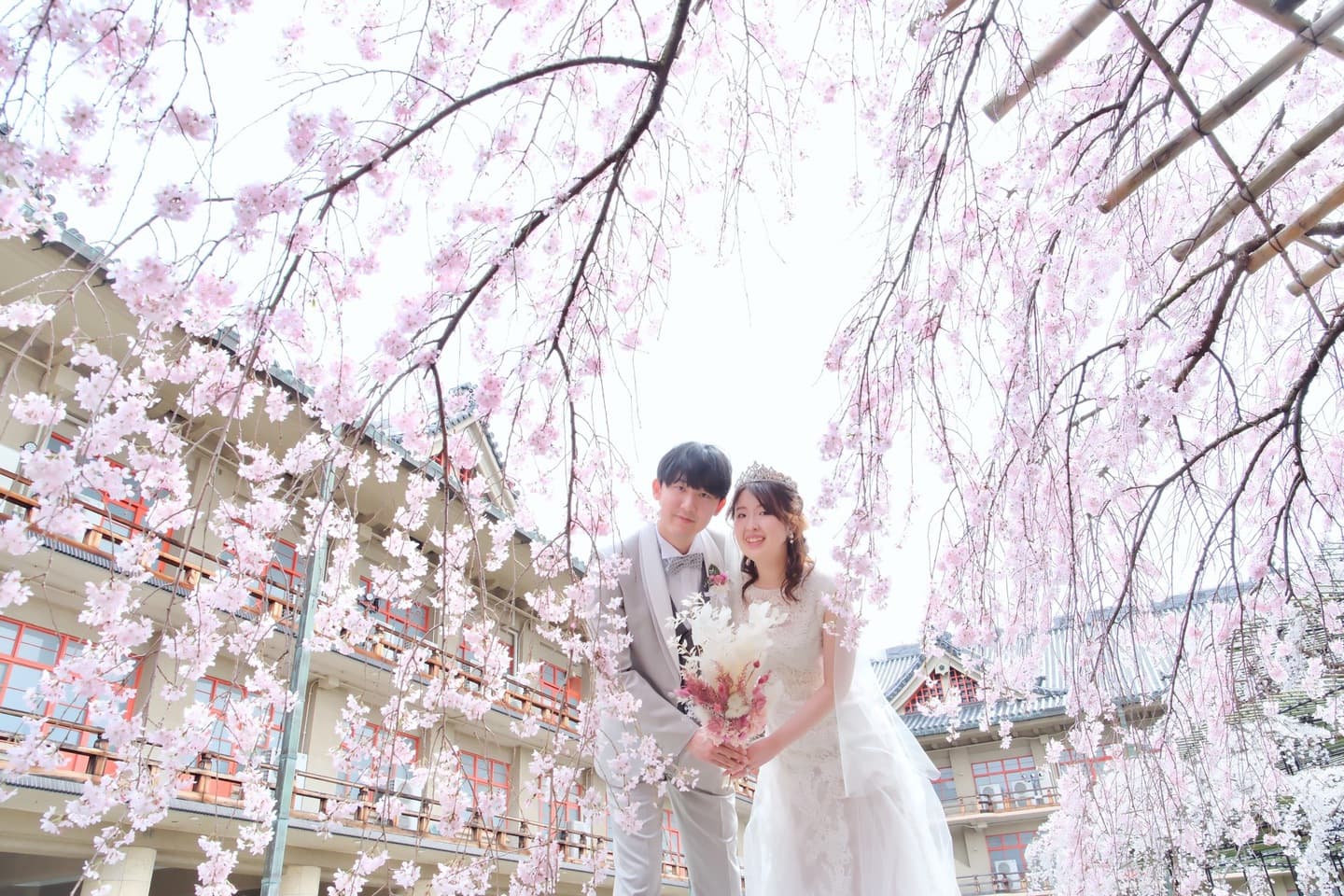 桜でフォトウエディングの花嫁