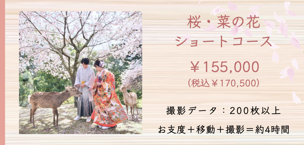 桜や菜の花でのフォトウェディング